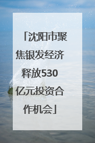 沈阳市聚焦银发经济释放530亿元投资合作机会