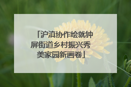 沪滇协作绘就钟屏街道乡村振兴秀美家园新画卷