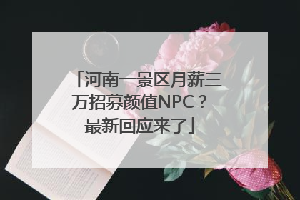 河南一景区月薪三万招募颜值NPC？最新回应来了