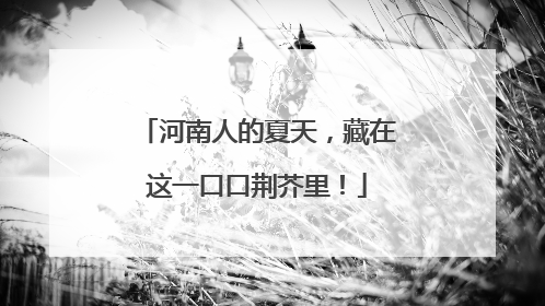 河南人的夏天，藏在这一口口荆芥里！