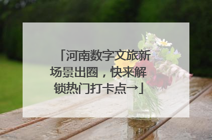 河南数字文旅新场景出圈，快来解锁热门打卡点→