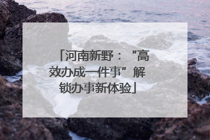 河南新野：“高效办成一件事”解锁办事新体验