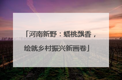 河南新野：蟠桃飘香，绘就乡村振兴新画卷