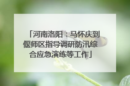 河南洛阳：马怀庆到偃师区指导调研防汛综合应急演练等工作