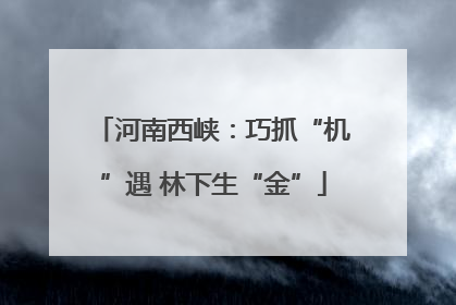 河南西峡：巧抓“机”遇 林下生“金”
