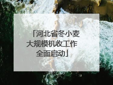 河北省冬小麦大规模机收工作全面启动