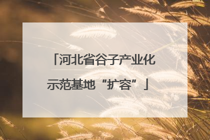 河北省谷子产业化示范基地“扩容”