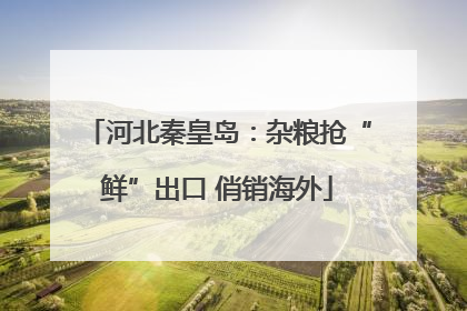 河北秦皇岛：杂粮抢“鲜”出口 俏销海外