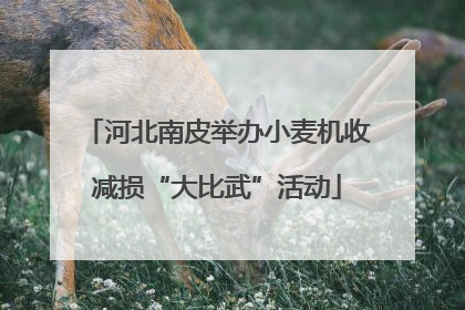 河北南皮举办小麦机收减损“大比武”活动