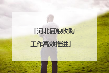 河北夏粮收购工作高效推进