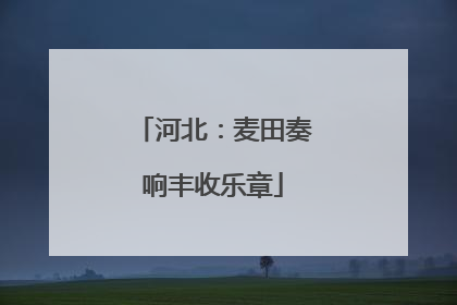 河北：麦田奏响丰收乐章