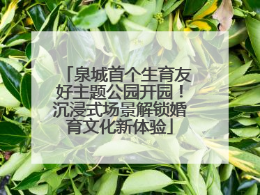 泉城首个生育友好主题公园开园！沉浸式场景解锁婚育文化新体验