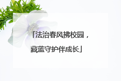 法治春风拂校园，藏蓝守护伴成长