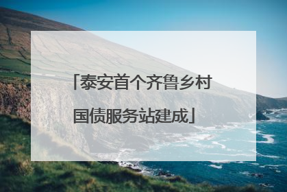 泰安首个齐鲁乡村国债服务站建成