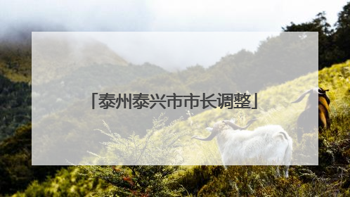 泰州泰兴市市长调整