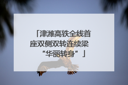 津潍高铁全线首座双侧双转连续梁“华丽转身”