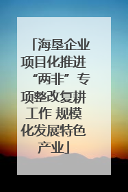 海垦企业项目化推进“两非”专项整改复耕工作 规模化发展特色产业