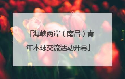 海峡两岸（南昌）青年木球交流活动开幕