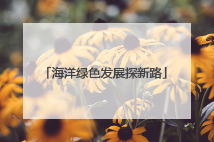 海洋绿色发展探新路
