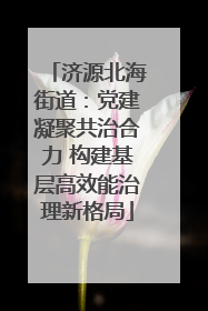 济源北海街道：党建凝聚共治合力 构建基层高效能治理新格局