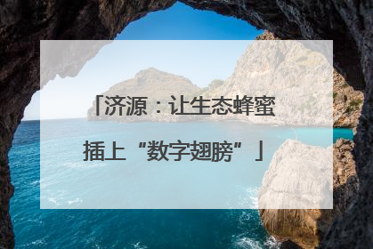 济源：让生态蜂蜜插上“数字翅膀”