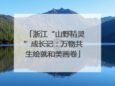 浙江“山野精灵”成长记：万物共生绘就和美画卷