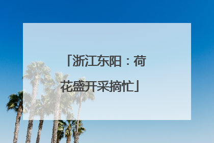 浙江东阳：荷花盛开采摘忙