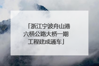 浙江宁波舟山港六横公路大桥一期工程建成通车