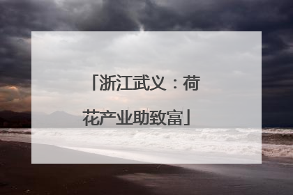 浙江武义：荷花产业助致富