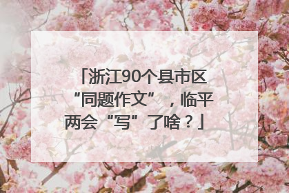 浙江90个县市区“同题作文”，临平两会“写”了啥？