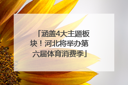 涵盖4大主题板块！河北将举办第六届体育消费季