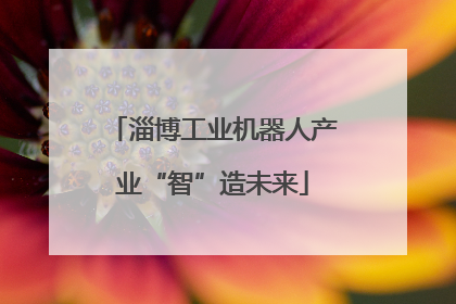 淄博工业机器人产业“智”造未来