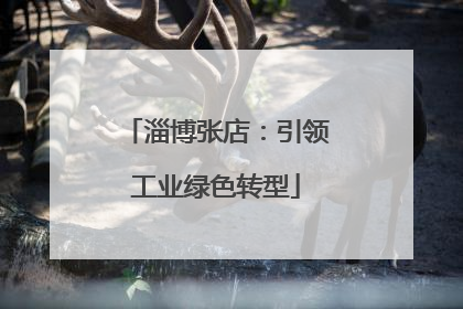 淄博张店：引领工业绿色转型
