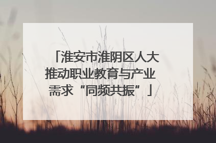 淮安市淮阴区人大推动职业教育与产业需求“同频共振”