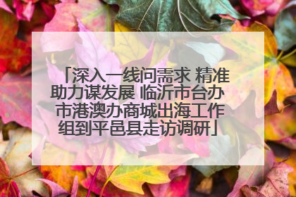 深入一线问需求 精准助力谋发展 临沂市台办 市港澳办商城出海工作组到平邑县走访调研