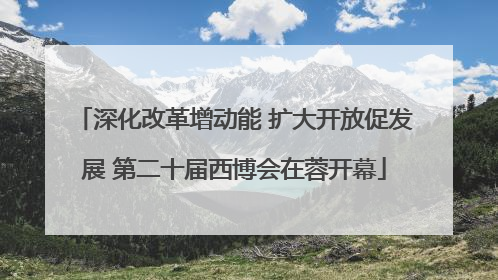 深化改革增动能 扩大开放促发展 第二十届西博会在蓉开幕