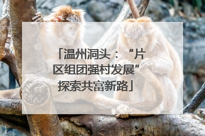 温州洞头：“片区组团强村发展”探索共富新路