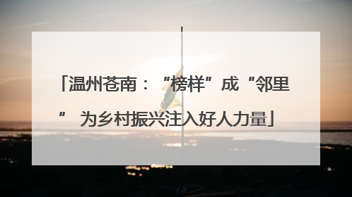 温州苍南：“榜样”成“邻里” 为乡村振兴注入好人力量