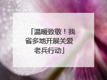 温暖致敬！我省多地开展关爱老兵行动
