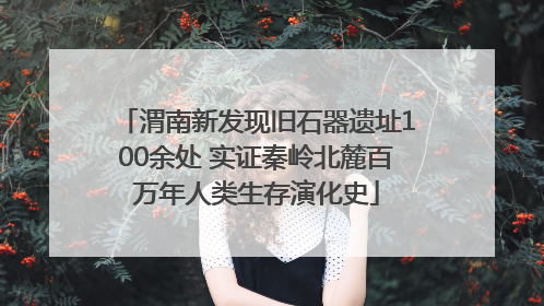 渭南新发现旧石器遗址100余处 实证秦岭北麓百万年人类生存演化史