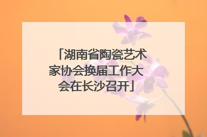 湖南省陶瓷艺术家协会换届工作大会在长沙召开