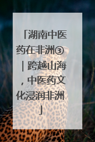 湖南中医药在非洲③｜跨越山海，中医药文化浸润非洲