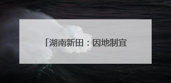 湖南新田：因地制宜“精准放流” 构建“鸢飞鱼跃”景象