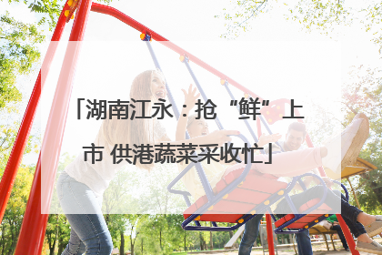 湖南江永：抢“鲜”上市 供港蔬菜采收忙