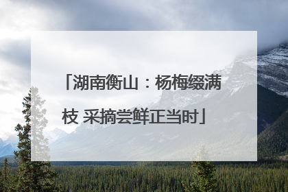 湖南衡山：杨梅缀满枝 采摘尝鲜正当时