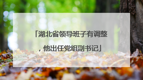 湖北省领导班子有调整，他出任党组副书记
