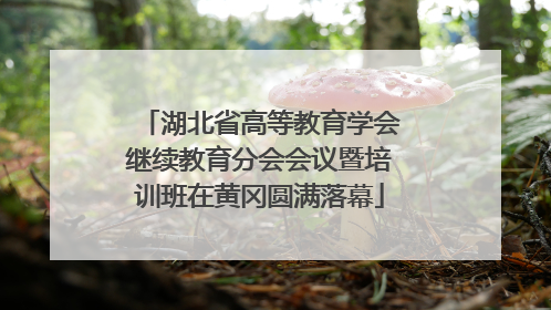 湖北省高等教育学会继续教育分会会议暨培训班在黄冈圆满落幕