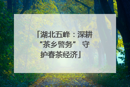 湖北五峰：深耕“茶乡警务” 守护春茶经济