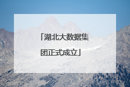 湖北大数据集团正式成立