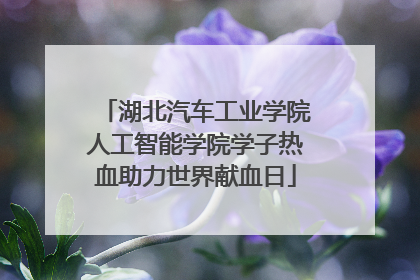 湖北汽车工业学院人工智能学院学子热血助力世界献血日